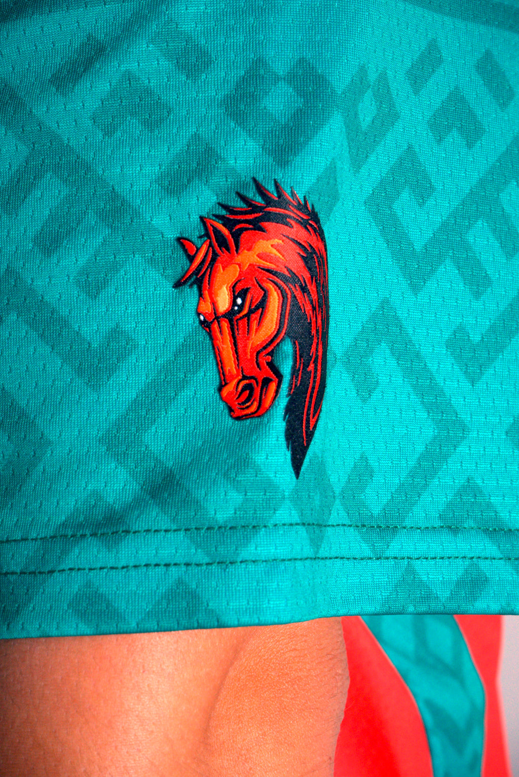 DEL 27 JERSEY