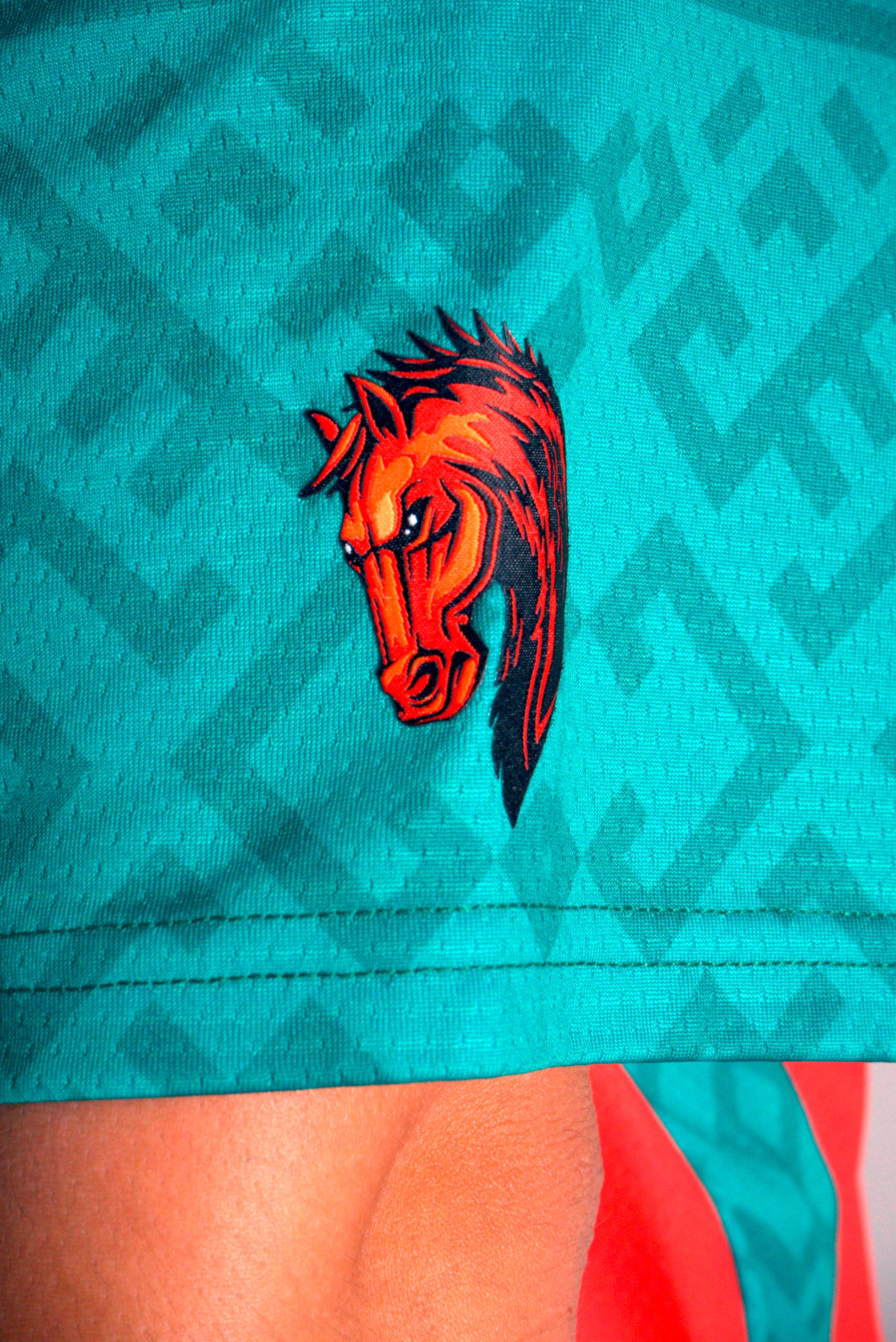 DEL 27 JERSEY